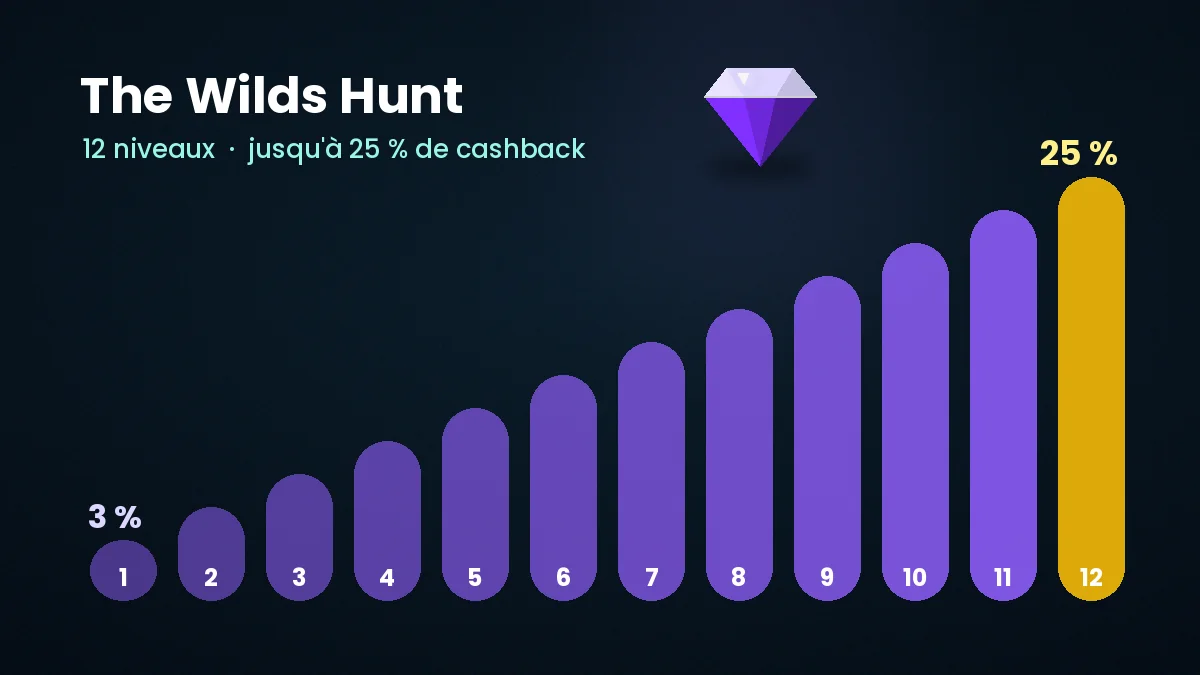 Les douze niveaux du programme The Wilds Hunt